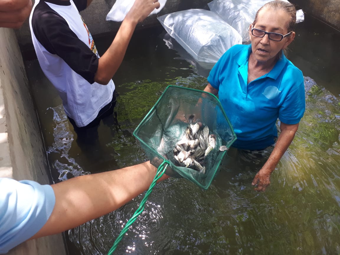 PECES EN ESTANQUE (5)