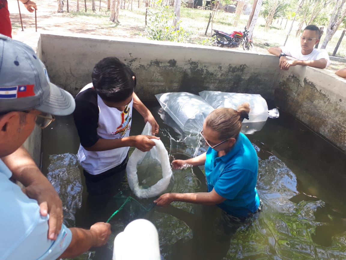 PECES EN ESTANQUE (6)