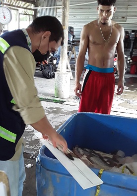 MUESTREO DEL PACIFICO (4)