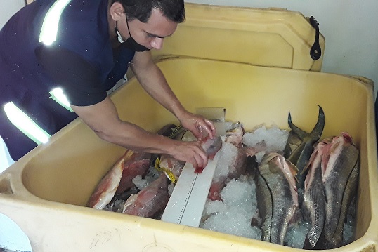 MUESTREO DEL PACIFICO (6)