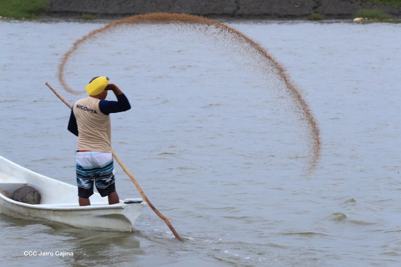 camarones jairo24