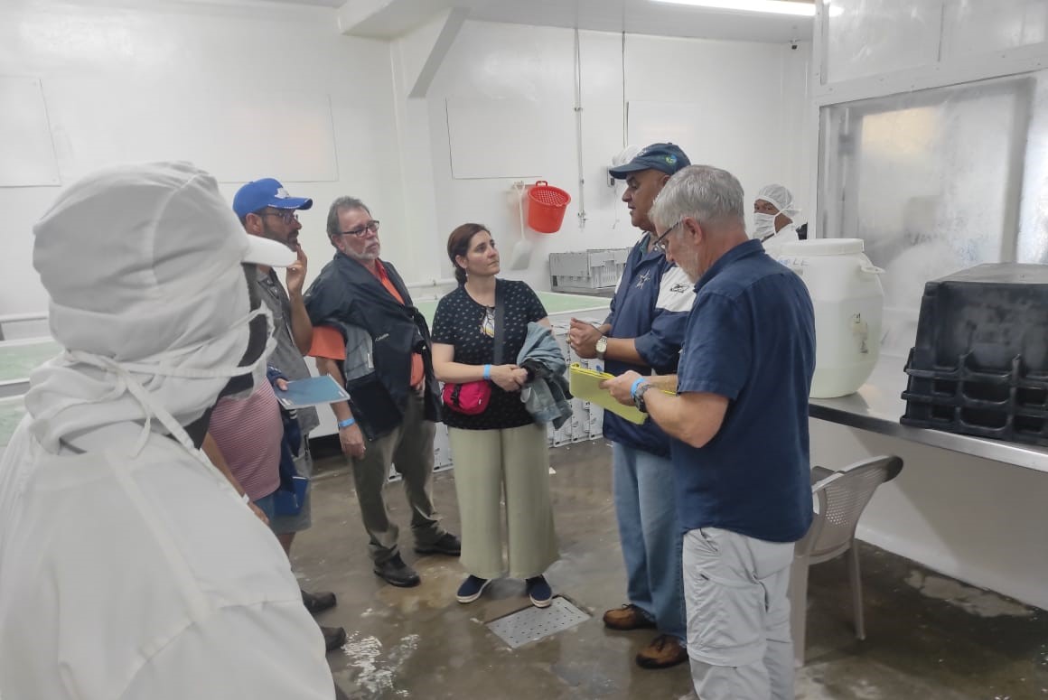 CI  Industria pesquera participa en proceso de evaluación para obtener importante certificación (10)