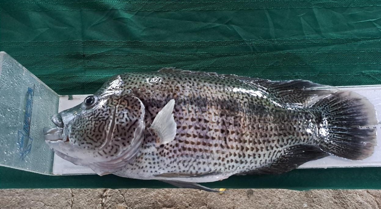 23 TORNEO DE PESCA ACOYAPA (15)
