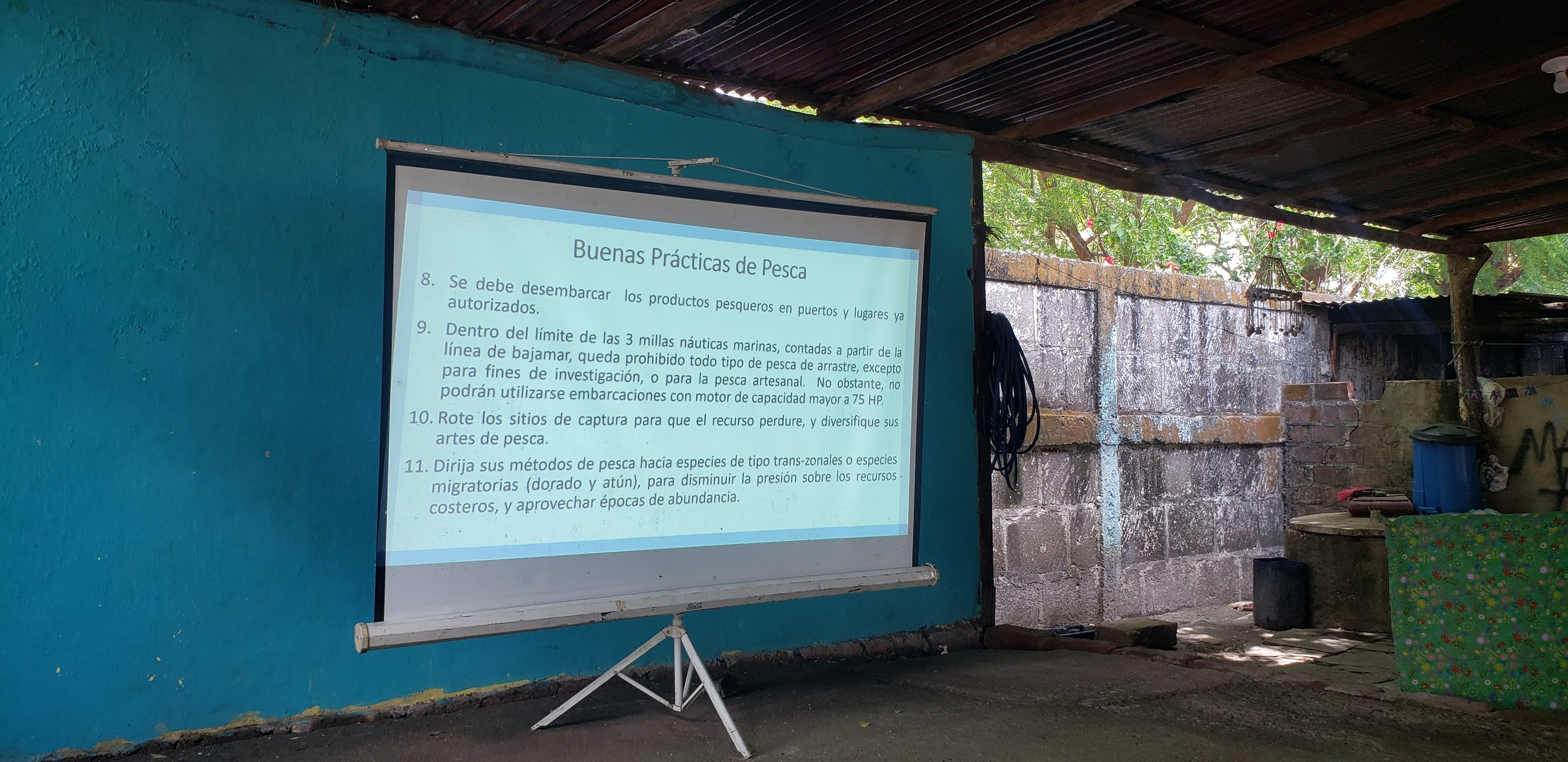 CAPACITACION CON FAUNA Y FLORA (7)