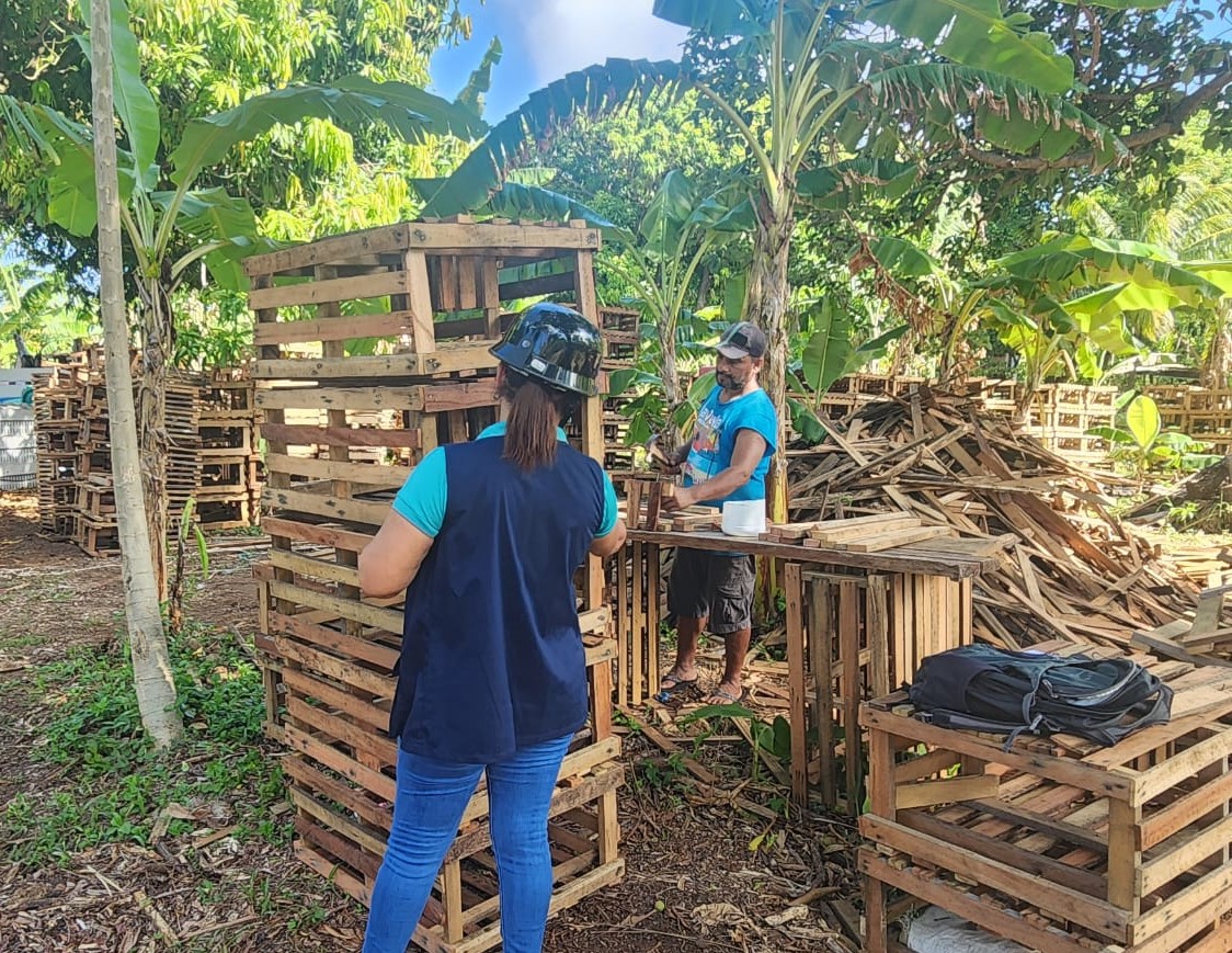 Temporada Langosta del Caribe (6)