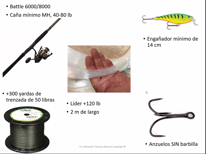 WEBINAR PESCA 5