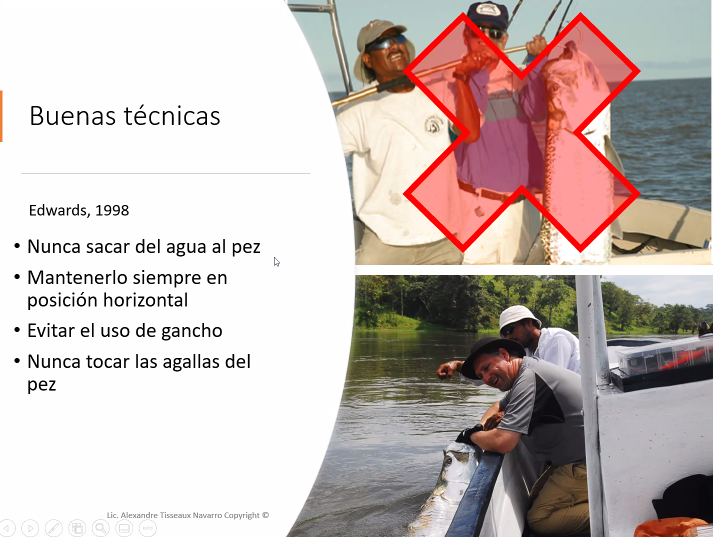 WEBINAR PESCA 6